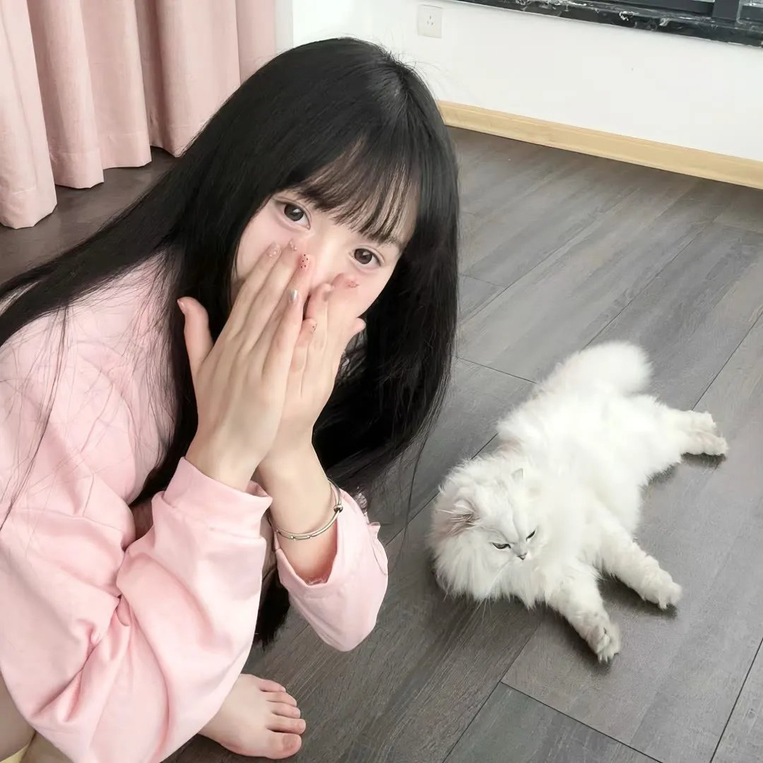 汪星人的秘密第一季